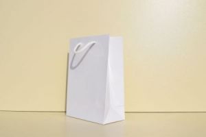 17 x 10 x 23 cm, SACOSA CADOU PLASTIFIATA
